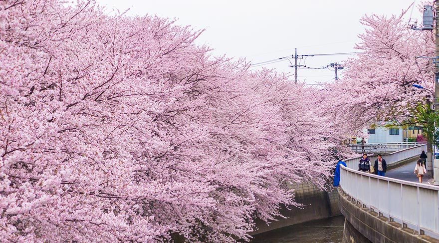 tokyo