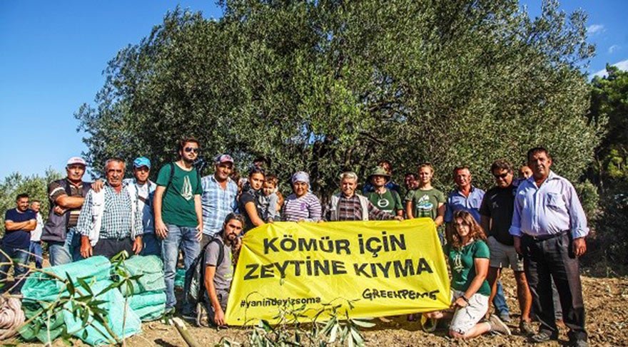 Kolin Şirketler Grubu’nun Soma Kolin Termik Santrali’ne kömür temin etmek için Yırcalı’daki 6000 zeytin ağacının 400’ü kesilmişti. Karar köylülerin protestoları ile karşılaşmıştı.