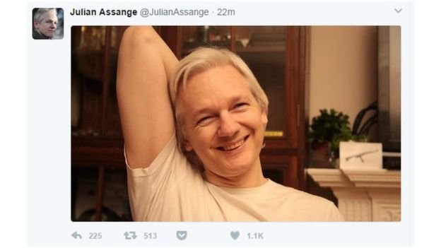 assange