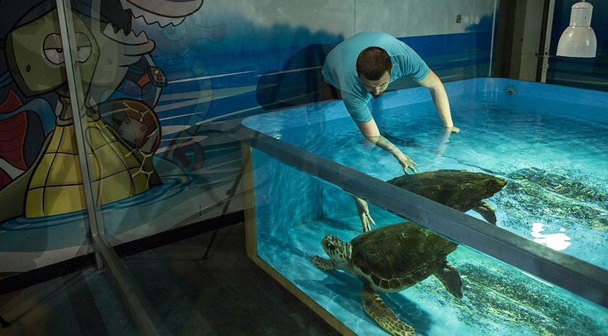 dilek-caretta-caretta-6