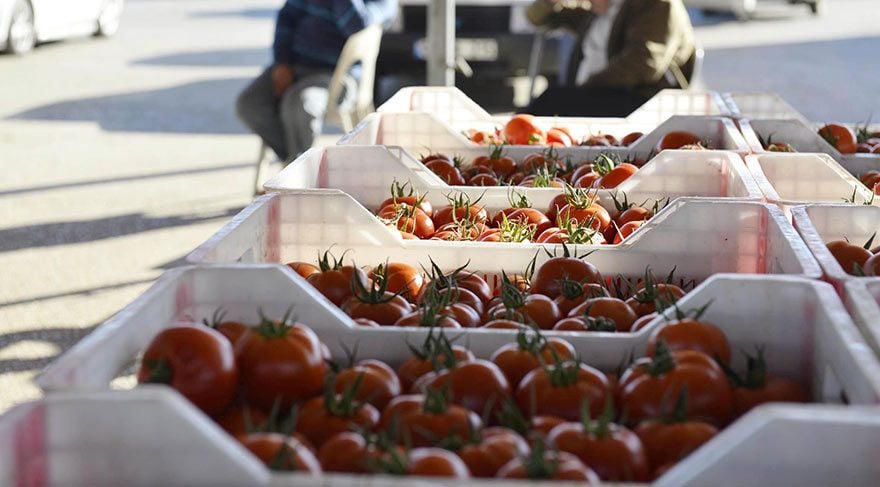 Nisan'da zam şampiyonu domates oldu