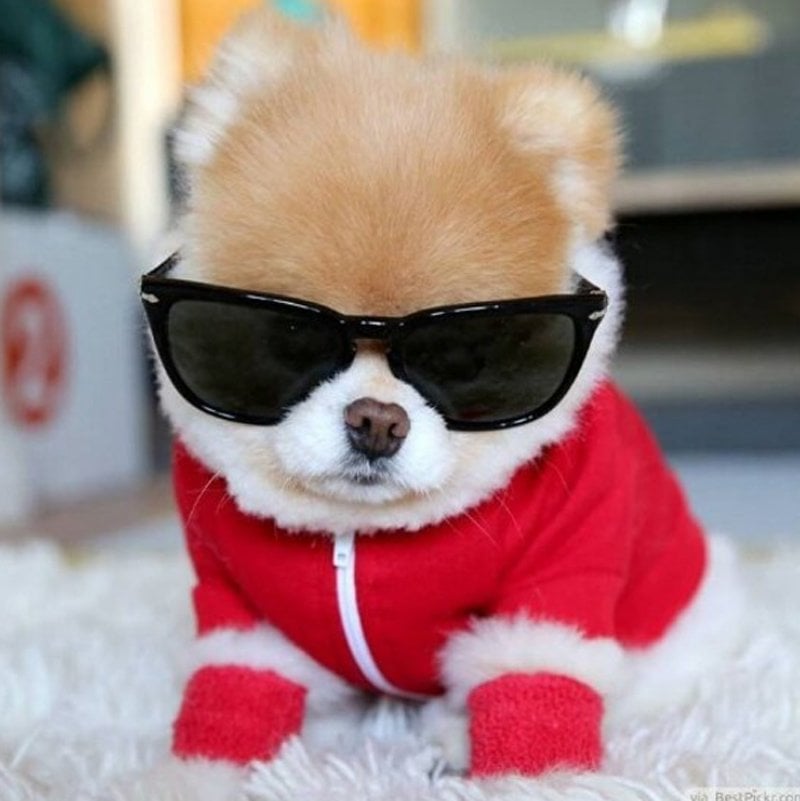 iamboo_officialfanpage