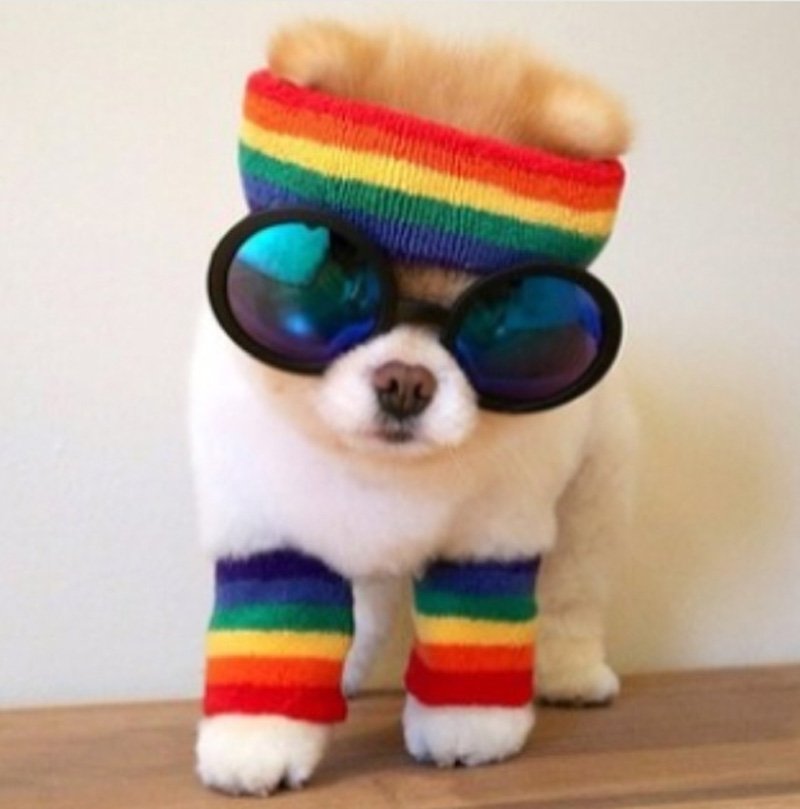 iamboo_officialfanpage1