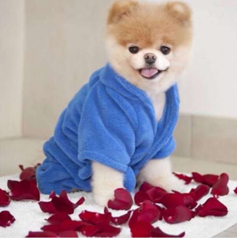 iamboo_officialfanpage12