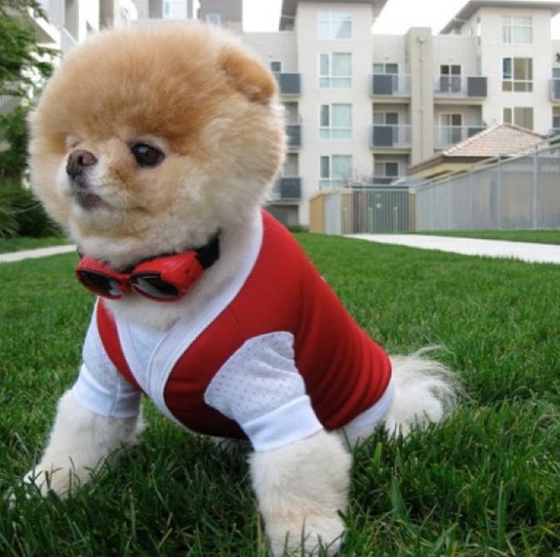 iamboo_officialfanpage3