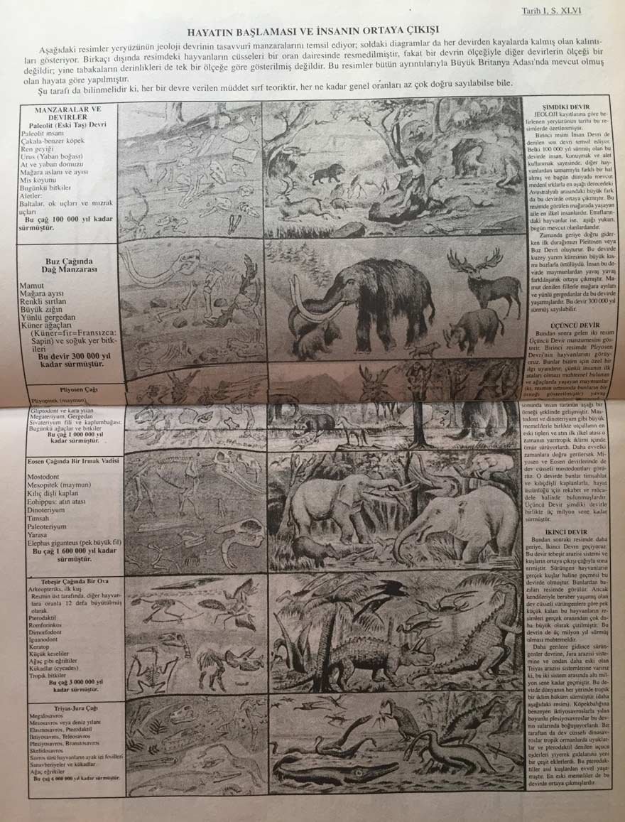 1930’larda liselerde okutulan Tarih-1 kitabının girişinde yer alan evrim tablosu...
