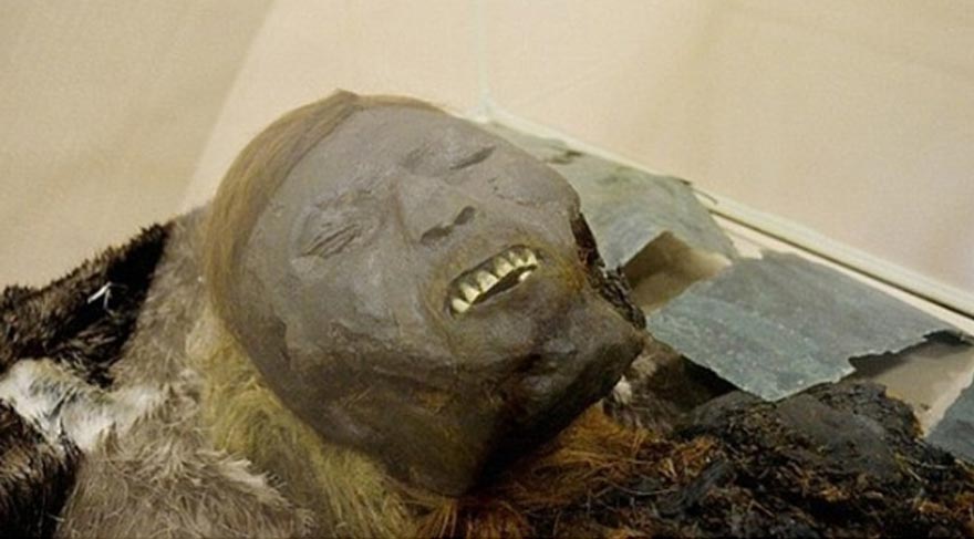 Sanayi ciro endeksi ve değişim oranları, Mayıs 2017 Kaynak: TÜİK