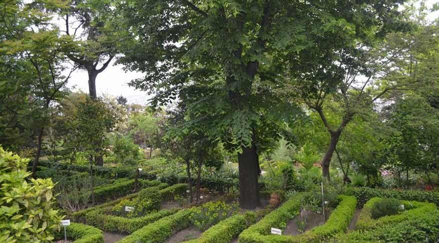 Atatürk’ün kurduğu botanik bahçesini Diyanet’e verdiler