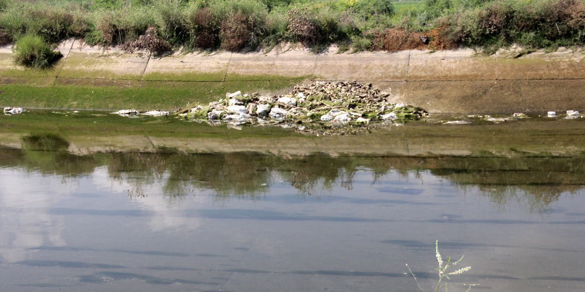 adana-at-esek-kemikleri-1