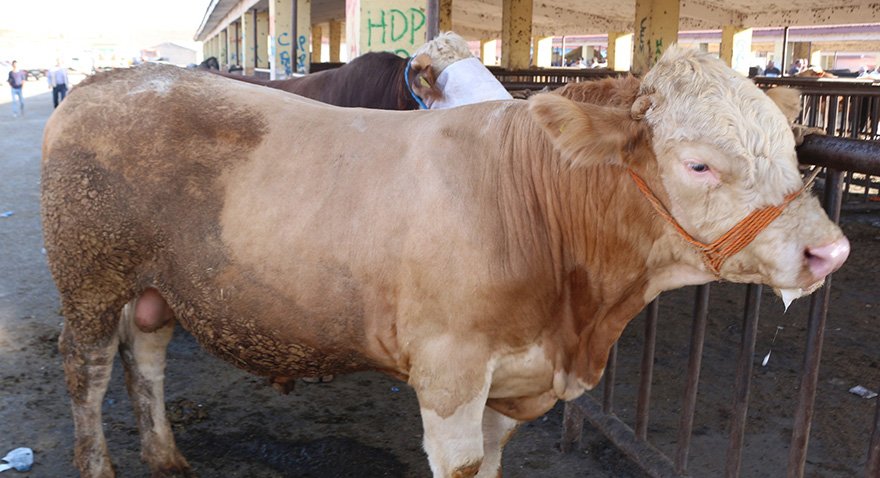 agri22