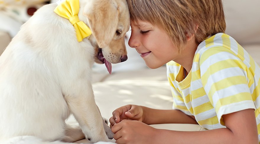 Evcil hayvan besleyen çocuklar daha sağlıklı