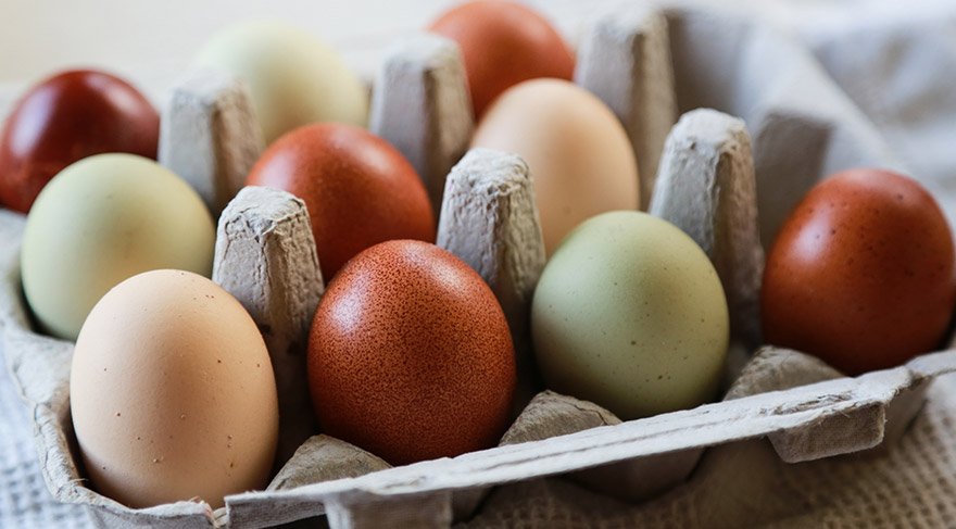 Yumurta kabuğundaki renkler neden farklı olur?