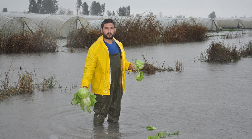 Mersin’de aşırı yağışlar, seraların sular altında kalmasına neden oldu. Yaşanan felaketin faturası ise 115 milyon lirayı buluyor.