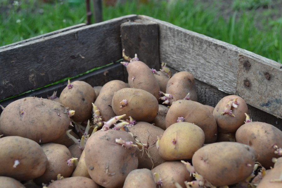 shutterstock_424921591-custom