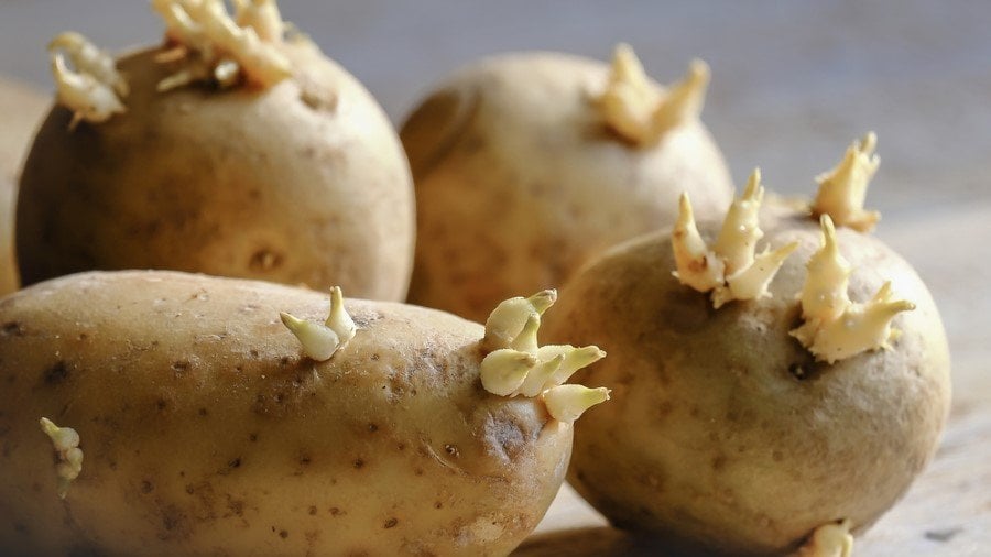 shutterstock_619419377-custom