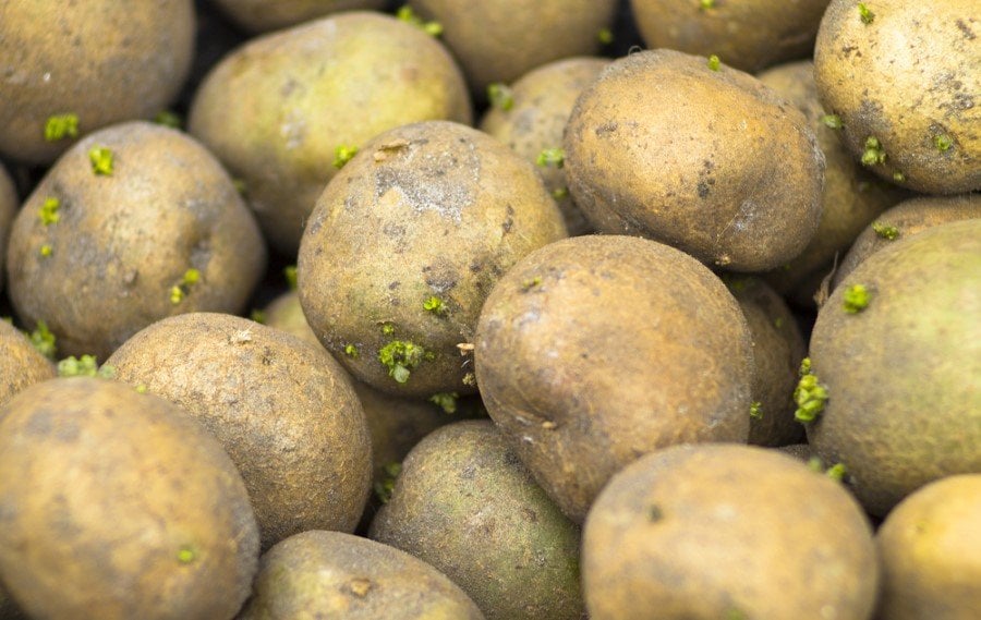 shutterstock_627586298-custom