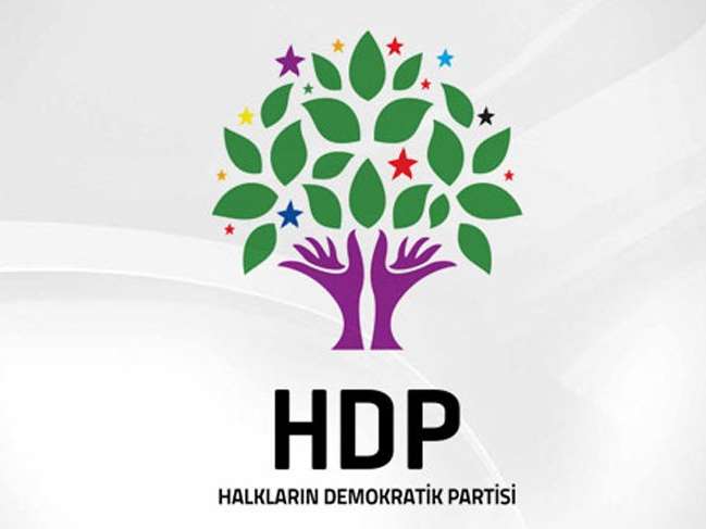 HDP Kars eski milletvekili Şafak Özanlı tutuklandı