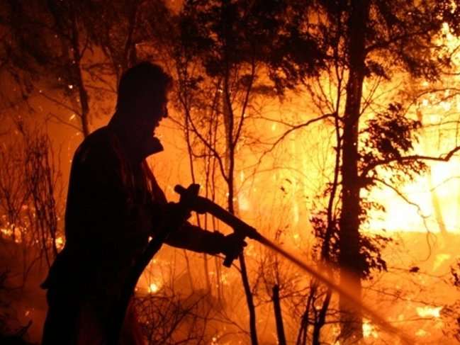 Ormanlar yandı failler bulunamadı