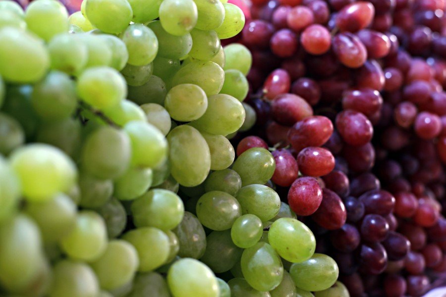 Üzüm: Bir sıcak bir soğuk geçen mevsimler üzüm asmalarını da kötü etkiliyor. ABD'li şarap üreticileri mevsimler bu şekilde devam ederse yakın gelecekte üzüm ve şarap bulmanın imkanı olmayacağını belirtiyor.