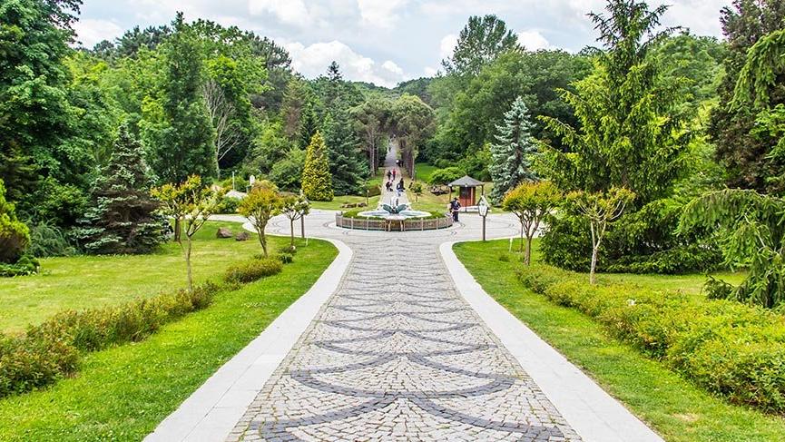 İstanbul’un gizli bahçesi: Atatürk Arboretumu