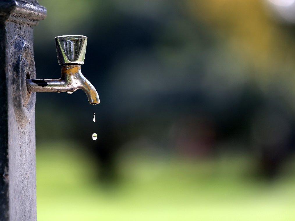 22 Mart Dünya Su Günü'nün bu seneki teması: Su için doğa