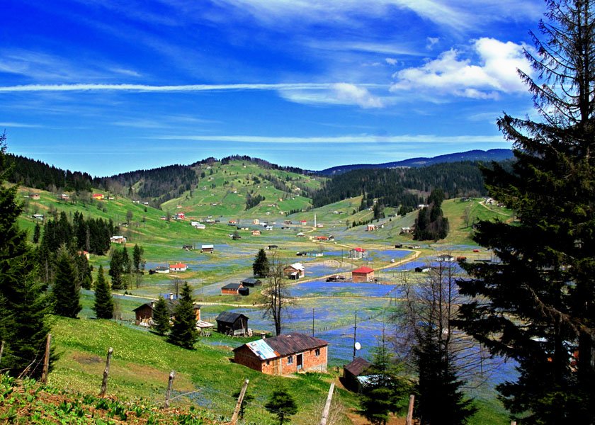 trabzon-tonya-kadirak-yayla-mor-yayla-foto-dha-1