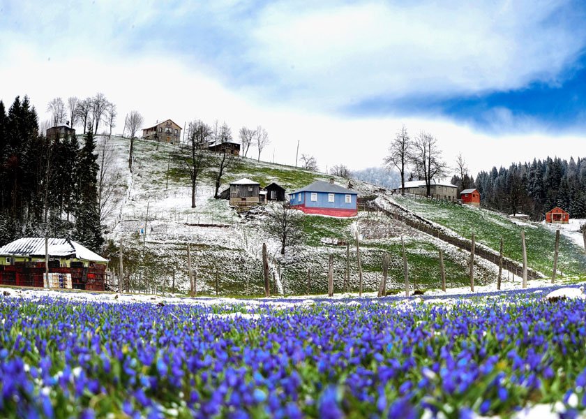 trabzon-tonya-kadirak-yayla-mor-yayla-foto-dha-12