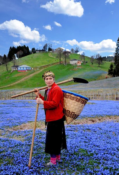 trabzon-tonya-kadirak-yayla-mor-yayla-foto-dha-13