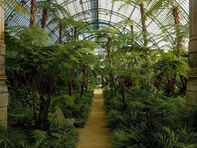 Kraliyet Botanik Bahçeleri ziyarete açıldı