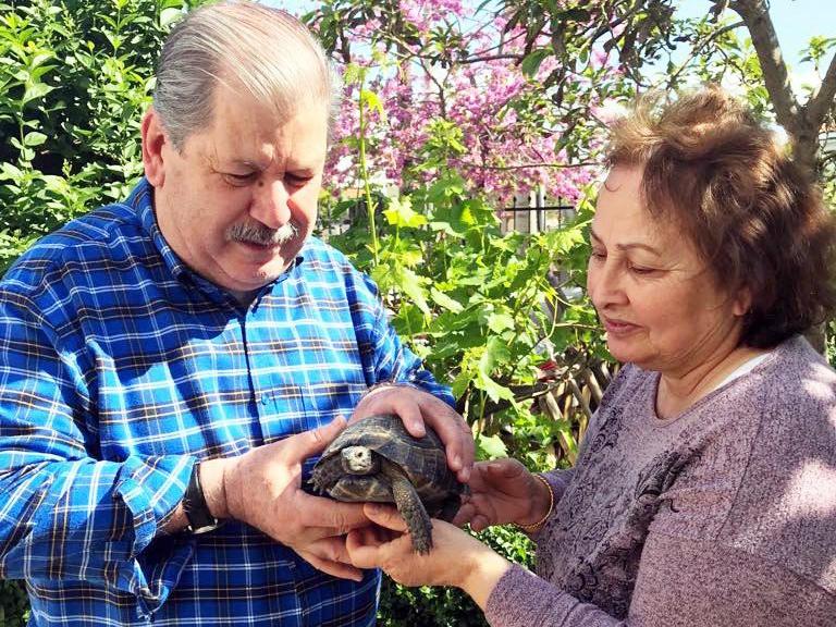 Çöpe atılan kaplumbağayı, sanatçı Numan Pekdemir kurtardı