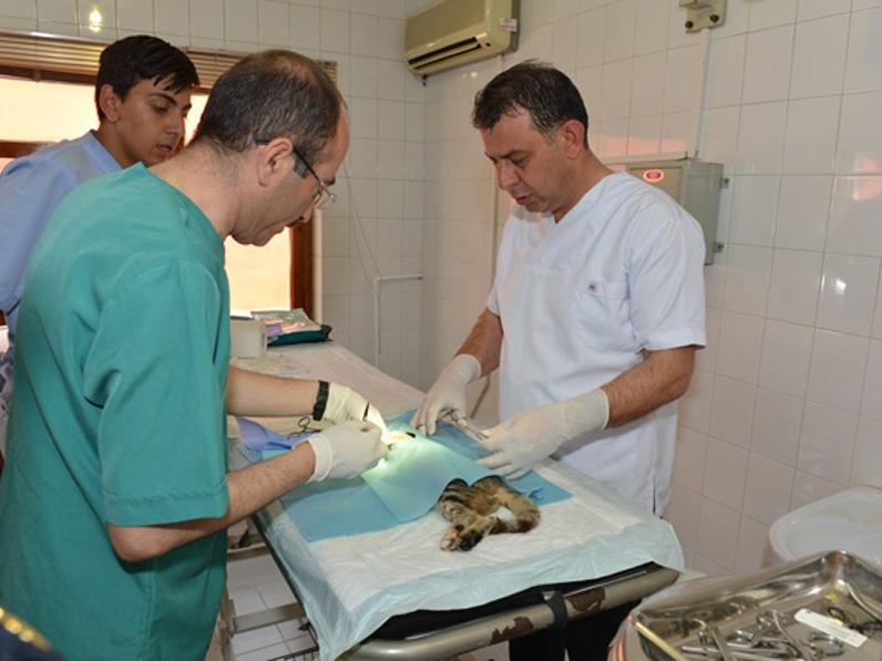 MEB'in ilk hayvan hastanesi kadrosuzluktan kapatıldı