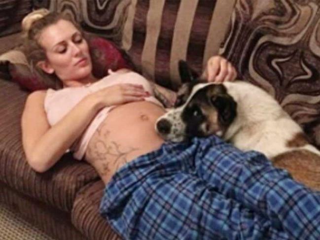 Köpek kadının karnına bakıp havlamaya başladı! Kadın hastaneye gidince gerçek ortaya çıktı!