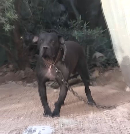 adana-fuhus-foto-dha-5