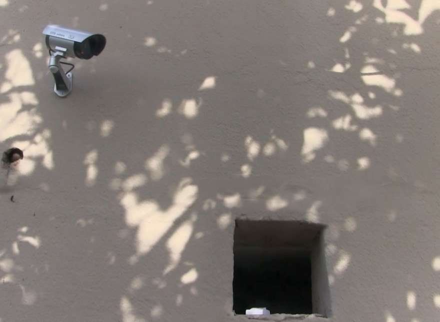 adana-fuhus-foto-dha-7