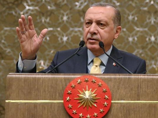 Erdoğan: Başımızın çaresine bakarız
