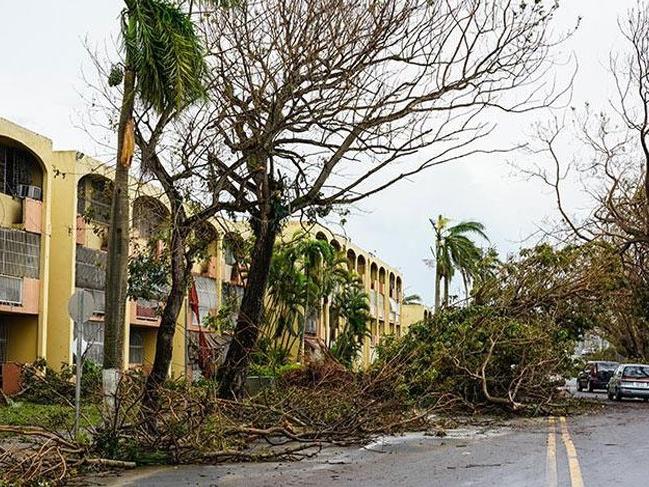 Porto Riko'da Maria Kasırgası'nın 4 bin 600 can aldığı açıklandı