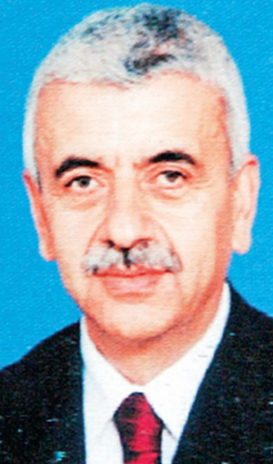 Ali İbiş