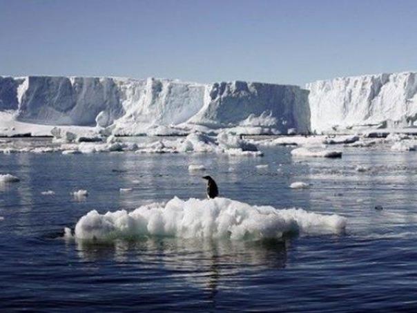 Antarktika alarm veriyor... Kayıp 3 trilyon ton!