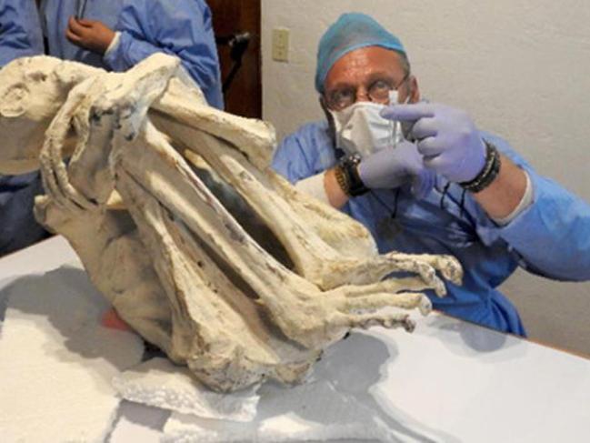 3 parmaklı mumyalanmış ceset bulundu! Yeni bir insan türüne ait olabilir