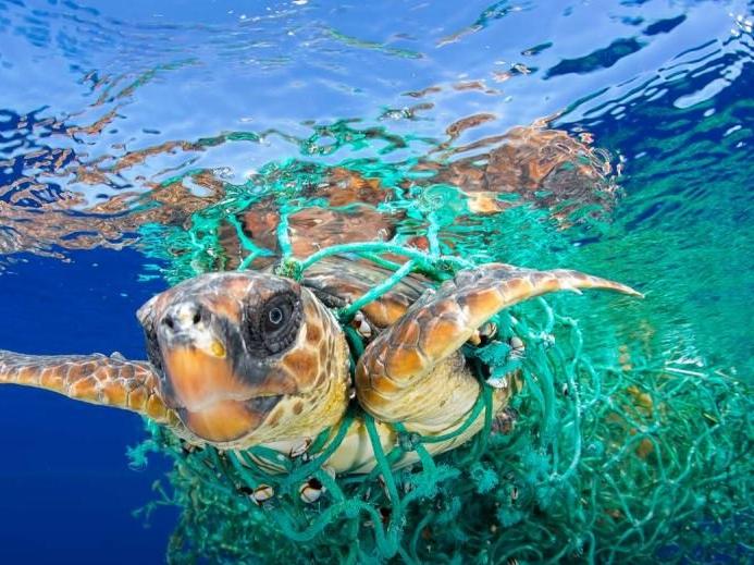 WWF: Akdeniz'e Türkiye'den günde 144 ton plastik atılıyor