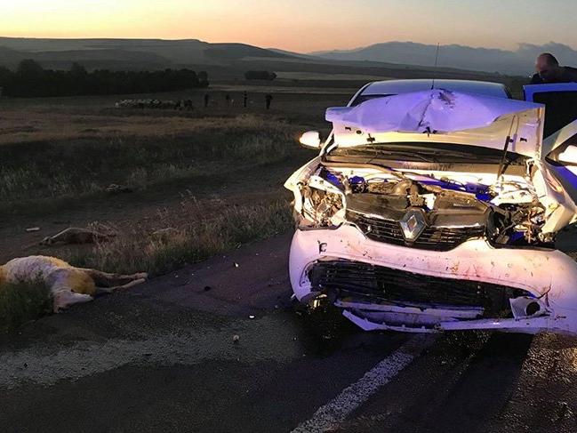 Otomobil koyun sürüsüne daldı; 20 koyun telef oldu, üç kişi yaralandı