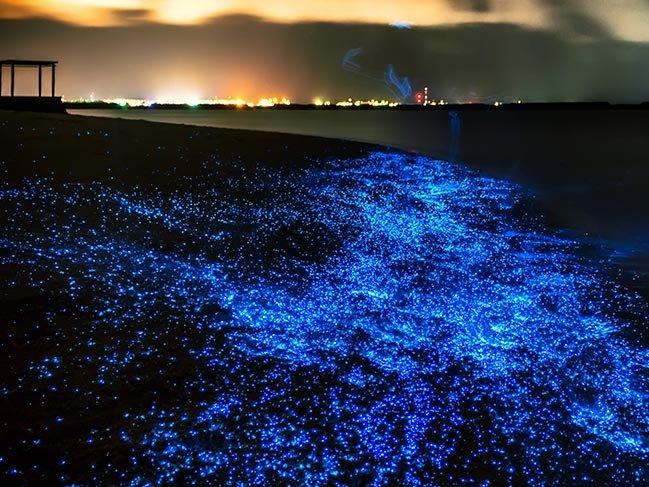 Dünyanın en şaşırtıcı yakamoz plajları
