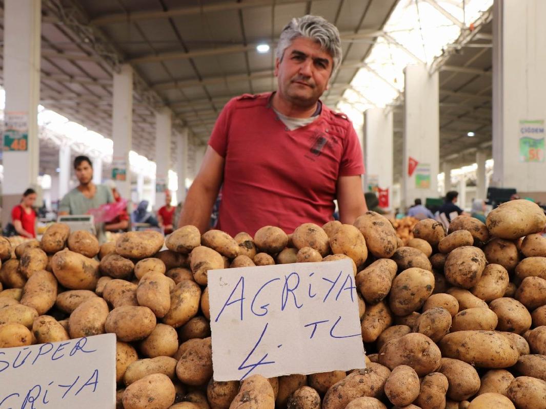 Türkiye neden Suriye'den patates alıyor? Patatesle ilgili bilmeniz gerekenler