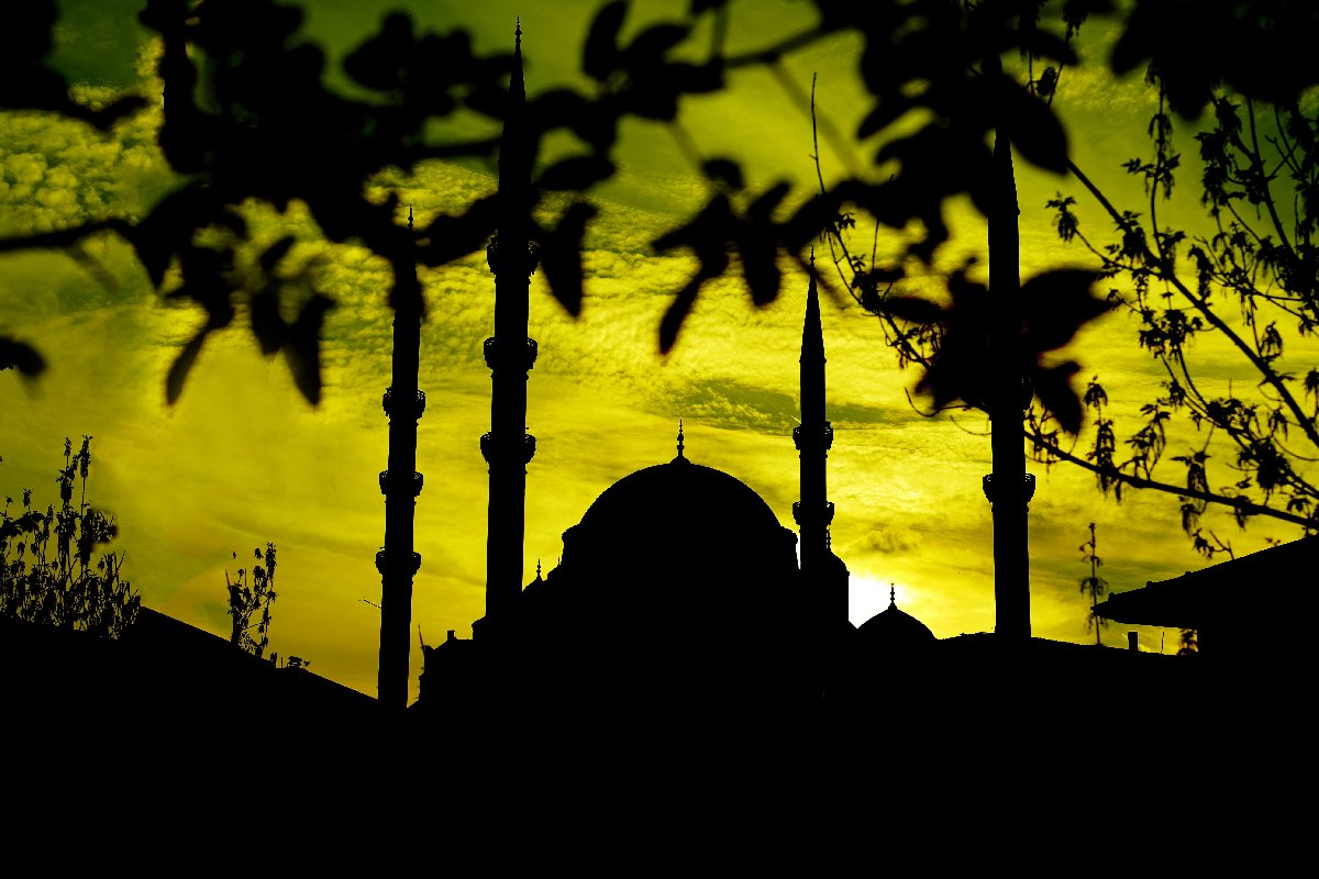 shutterstock_1058624477