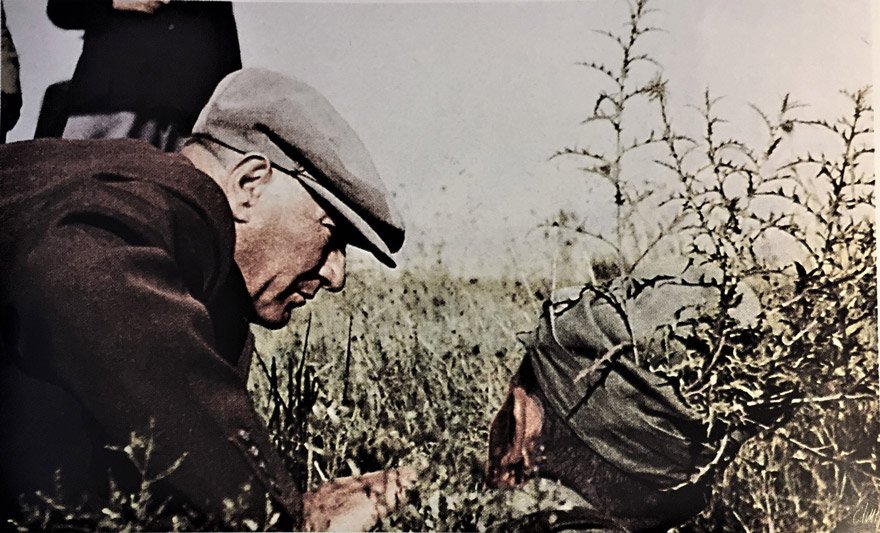Atatürk Trakya manevralarında bir Mehmetçikle konuşuyor. (17 Ağustos 1937) 