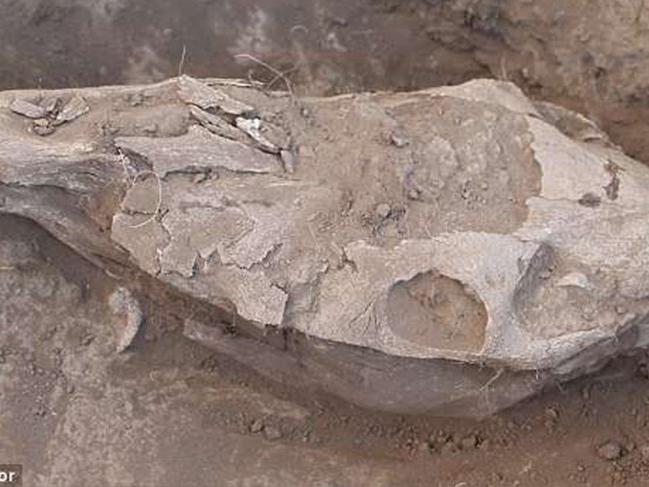 Moğolistan bozkırlarında, 3000 yıl önceye tarihlenen en eski at diş hekimliğinin kanıtları ortaya çıkarıldı