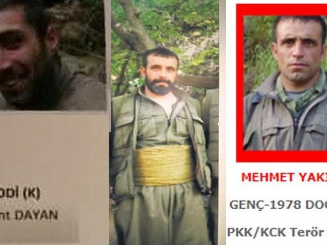 PKK’nın Karadeniz yapılanmasında lider ismi öldürüldü