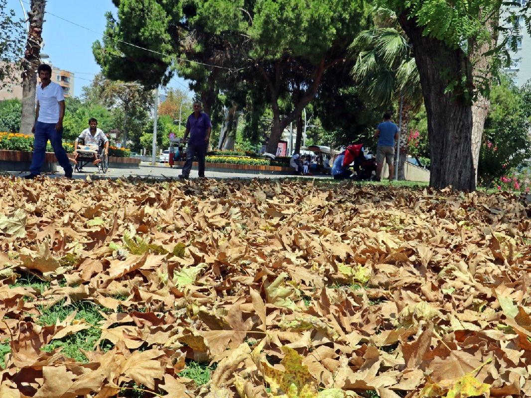 Antalya'da aşırı sıcakla gelen sonbahar