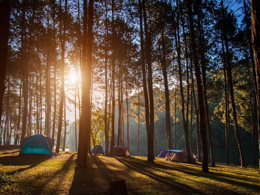 En iyi kamp alanları listesi: Türkiye'nin dört bir yanından kamp alanları...
