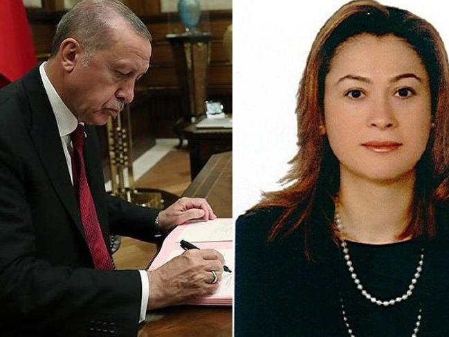 Tayyibe Kaycıoğlu kimdir?